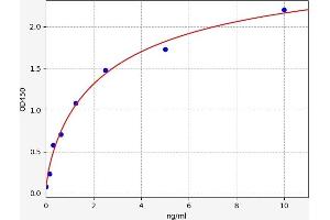Typical standard curve (DPYD Kit ELISA)