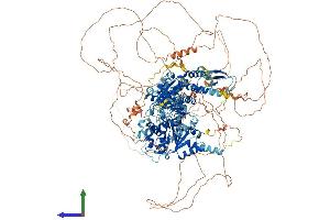 AlphaFold protein structure predicition of Mouse Recombinant Rad54l2 Protein, UniprotID Q99NG0