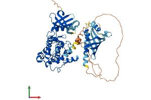 AlphaFold protein structure predicition of Mouse Recombinant Camk2b Protein, UniprotID P28652