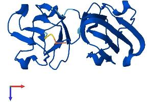 AlphaFold protein structure predicition of Mouse Recombinant Crygn Protein, UniprotID Q8VHL5