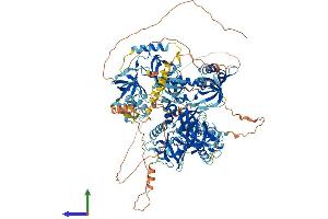 AlphaFold protein structure predicition of Human Recombinant TDRD1 Protein, UniprotID Q9BXT4