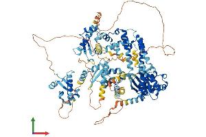 AlphaFold protein structure predicition of Human Recombinant GTF2IRD2B Protein, UniprotID Q6EKJ0