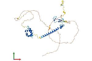 AlphaFold protein structure predicition of Human Recombinant E2F2 Protein, UniprotID Q14209