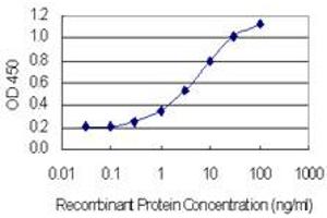 Detection limit for recombinant GST tagged HKR1 is 0. (HKR1 anticorps  (AA 191-290))