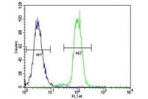 KLF4 antibody flow cytometric analysis of K562 cells (right histogram) compared to a negative control (left histogram). (KLF4 anticorps  (AA 394-421))