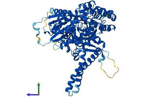 AlphaFold protein structure predicition of Human Recombinant VPS33A Protein, UniprotID Q96AX1