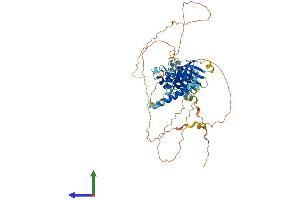 AlphaFold protein structure predicition of Human Recombinant SH2B3 Protein, UniprotID Q9UQQ2