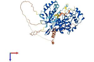 AlphaFold protein structure predicition of Mouse Recombinant Nlk Protein, UniprotID O54949