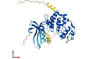 AlphaFold protein structure predicition of Mouse Recombinant Cdk6 Protein, UniprotID Q64261