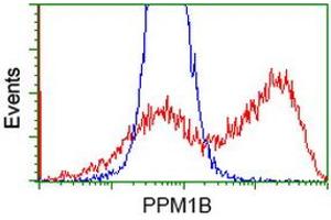 Flow Cytometry (FACS) image for anti-Protein Phosphatase, Mg2+/Mn2+ Dependent, 1B (PPM1B) antibody (ABIN1500376)