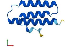 AlphaFold protein structure predicition of Mouse Recombinant Lyrm9 Protein, UniprotID Q3UN90
