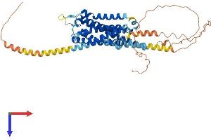 AlphaFold protein structure predicition of Mouse Recombinant Htr2b Protein, UniprotID Q02152