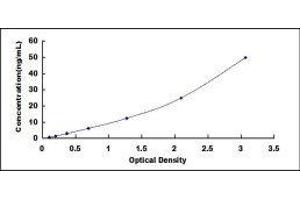 Typical standard curve (MMP11 Kit ELISA)