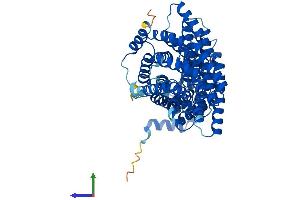 AlphaFold protein structure predicition of Human Recombinant APPBP2 Protein, UniprotID Q92624