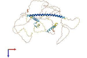 AlphaFold protein structure predicition of Human Recombinant SGO1 Protein, UniprotID Q5FBB7