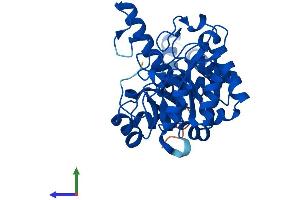 AlphaFold protein structure predicition of Human Recombinant GDE1 Protein, UniprotID Q9NZC3