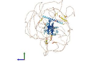 AlphaFold protein structure predicition of Human Recombinant SYNRG Protein, UniprotID Q9UMZ2
