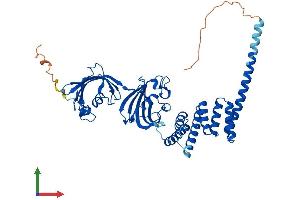AlphaFold protein structure predicition of Mouse Recombinant Fkbp4 Protein, UniprotID P30416
