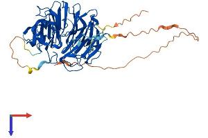 AlphaFold protein structure predicition of Mouse Recombinant Sergef Protein, UniprotID Q80YD6