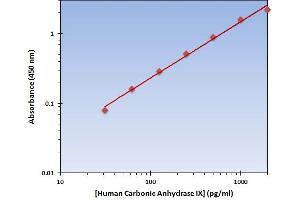 This is an example of what a typical standard curve will look like. (CA9 Kit ELISA)