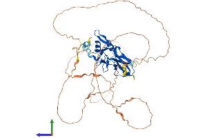 AlphaFold protein structure predicition of Mouse Recombinant Tbx22 Protein, UniprotID Q8K402