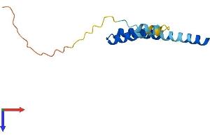 AlphaFold protein structure predicition of Mouse Recombinant Ifitm1 Protein, UniprotID Q9D103