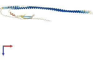 AlphaFold protein structure predicition of Human Recombinant KRT20 Protein, UniprotID P35900