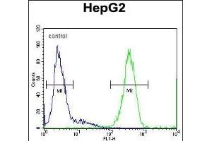 SOHLH1 Antibody (N-term) (ABIN654873 and ABIN2844530) flow cytometric analysis of HepG2 cells (right histogram) compared to a negative control cell (left histogram). (SOHLH1 anticorps  (N-Term))