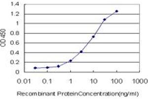 Detection limit for recombinant GST tagged HNRNPG-T is approximately 0. (RBMXL2 anticorps  (AA 1-90))