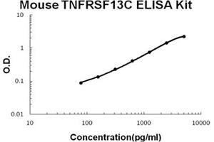 Mouse TNFRSF13C/BAFFR Accusignal ELISA Kit Mouse TNFRSF13C/BAFFR AccuSignal ELISA Kit standard curve. (TNFRSF13C Kit ELISA)