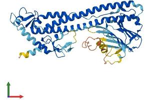 AlphaFold protein structure predicition of Human Recombinant TRIM49B Protein, UniprotID A6NDI0