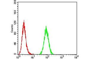 Flow cytometric analysis of Hela cells using ANAPC1 mouse mAb (green) and negative control (red).