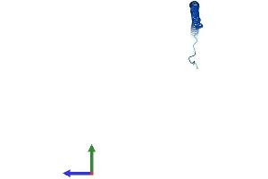 AlphaFold protein structure predicition of Human Recombinant ATP6V1G3 Protein, UniprotID Q96LB4