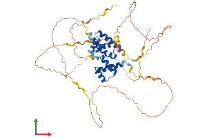 AlphaFold protein structure predicition of Mouse Recombinant Pou2f2 Protein, UniprotID Q00196