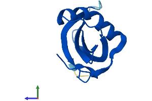 AlphaFold protein structure predicition of Mouse Recombinant Csta Protein, UniprotID P56567