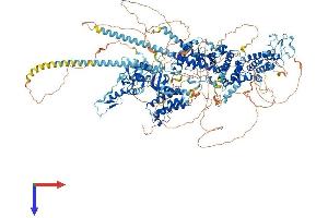 AlphaFold protein structure predicition of Mouse Recombinant Baz1a Protein, UniprotID O88379