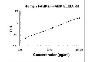 Human FABP2/I-FABP PicoKine ELISA Kit standard curve