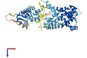 AlphaFold protein structure predicition of Mouse Recombinant Slc25a24 Protein, UniprotID Q8BMD8