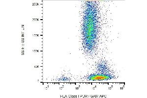 Surface staining of K562 cells with anti-HLA-class I (MEM-123) PE.