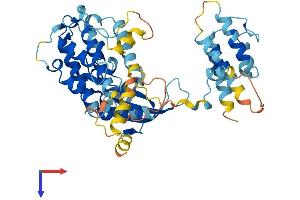 AlphaFold protein structure predicition of Human Recombinant MAPKAPK5 Protein, UniprotID Q8IW41