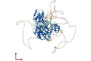 AlphaFold protein structure predicition of Human Recombinant ALPK1 Protein, UniprotID Q96QP1