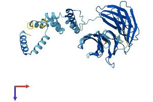 AlphaFold protein structure predicition of Mouse Recombinant Fbxw2 Protein, UniprotID Q60584