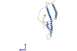 AlphaFold protein structure predicition of Human Recombinant NSL1 Protein, UniprotID Q96IY1