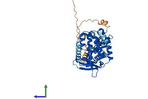 AlphaFold protein structure predicition of Human Recombinant EXO5 Protein, UniprotID Q9H790