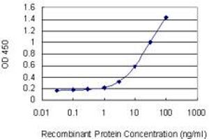 Detection limit for recombinant GST tagged CD1C is 0. (CD1c anticorps  (AA 77-185))