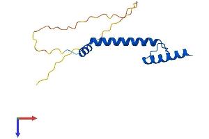 AlphaFold protein structure predicition of Mouse Recombinant Nhlh2 Protein, UniprotID Q64221