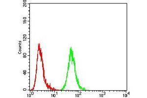 Flow cytometric analysis of MCF-7 cells using ANXA5 mouse mAb (green) and negative control (red).
