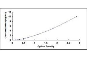Typical standard curve (HLA-DQB1 Kit ELISA)
