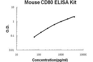 Mouse B7-1/CD80 Accusignal ELISA Kit Mouse B7-1/CD80 AccuSignal ELISA Kit standard curve. (CD80 Kit ELISA)