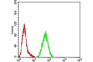 Flow cytometric analysis of Hela cells using LILRA6 mouse mAb (green) and negative control (red).